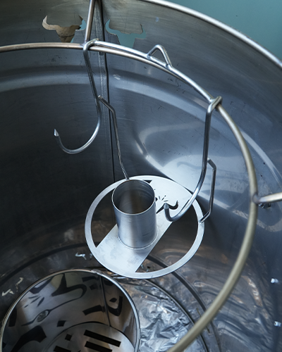 pollo 2 Pollo grande