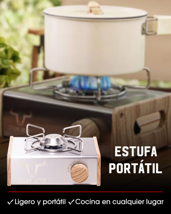 DISEÑO DE ESTUFA 01 Estufa de gas